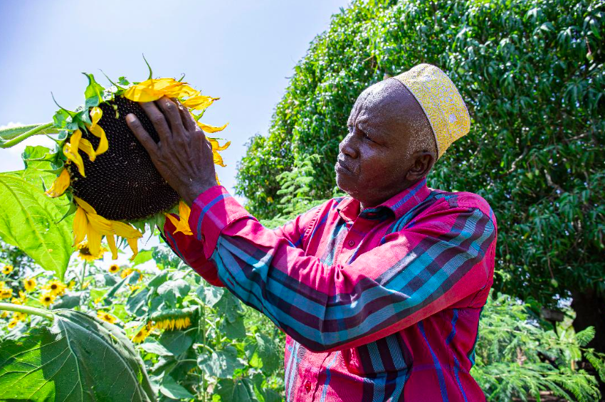 Inside a restoration drive that gives new life to Tana Delta