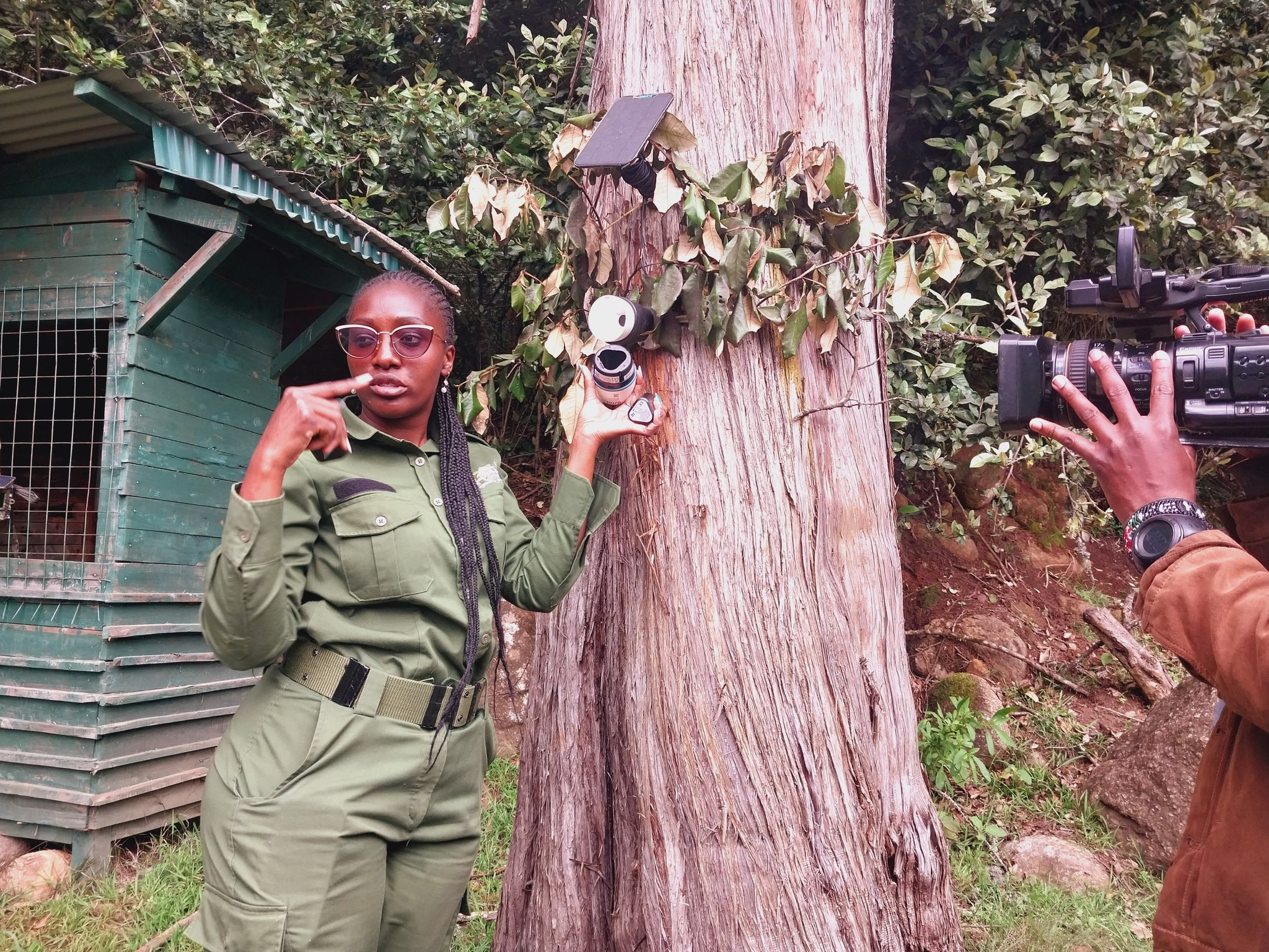 How AI technology helps in monitoring and protecting wildlife in Kenya's park