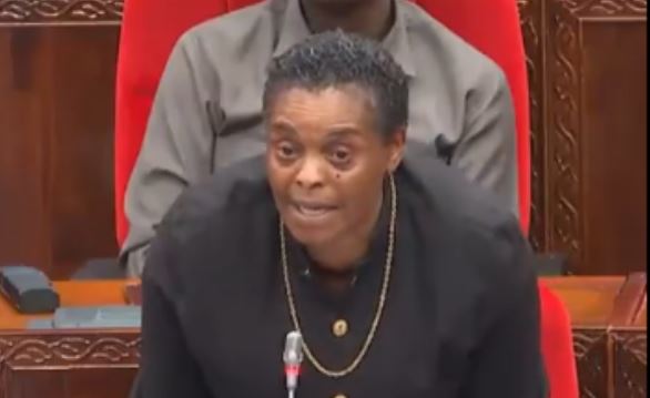 Tanzania MP responds to Kenyan Gen Zs