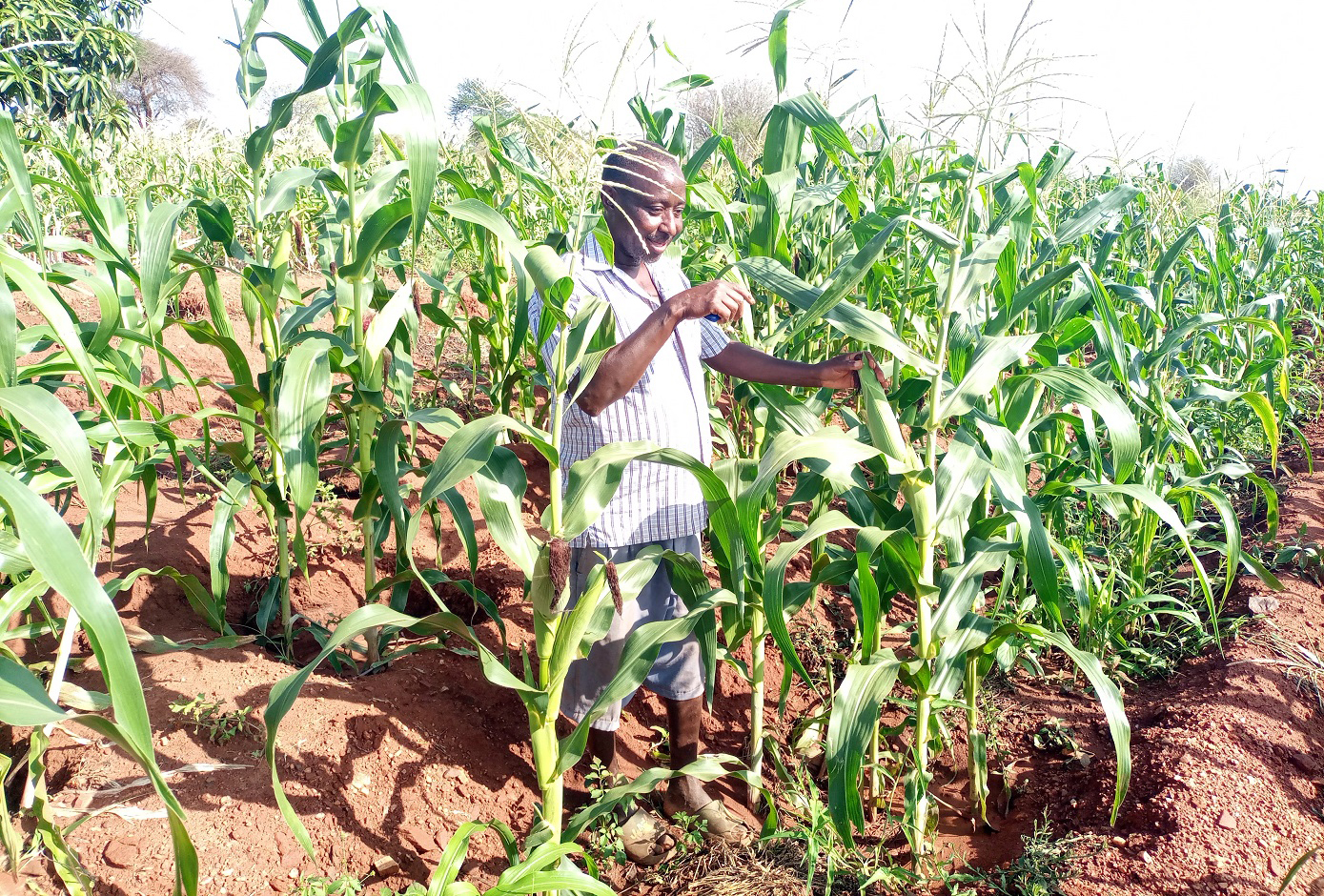 Agriculture sector struggled in past year, shows economic survey