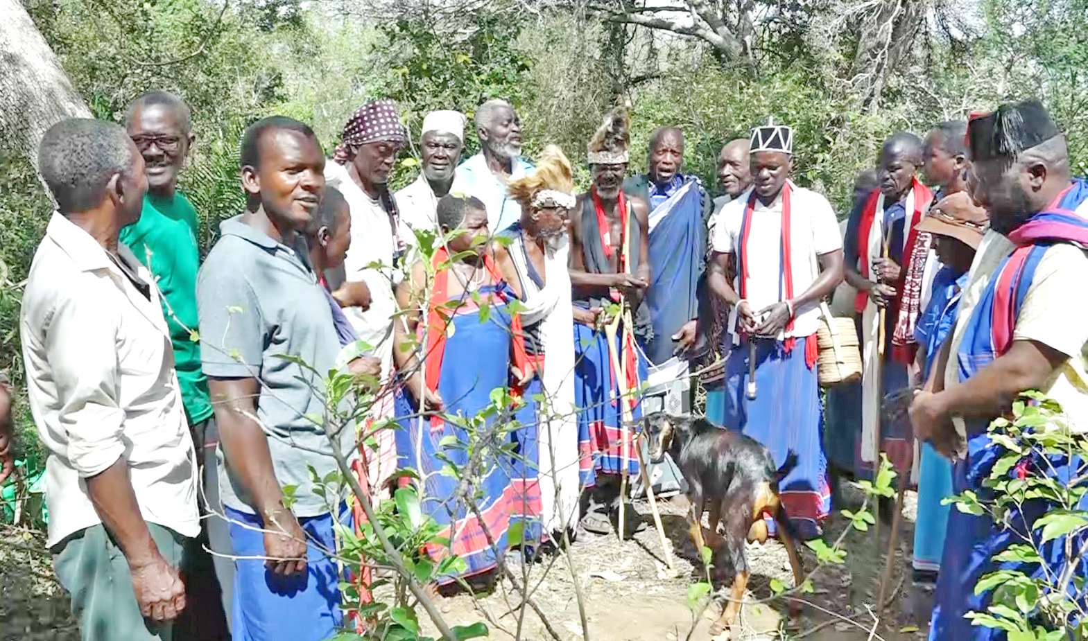 Kaya elders seek audience with Ruto over land woes