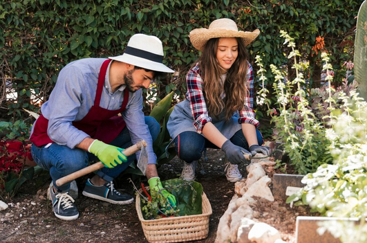 How gardening can help you live better for longer