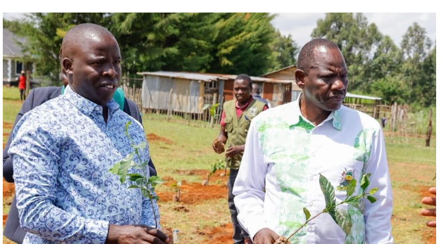 Don’t victimise Lagat, warn governors Sang and Bii