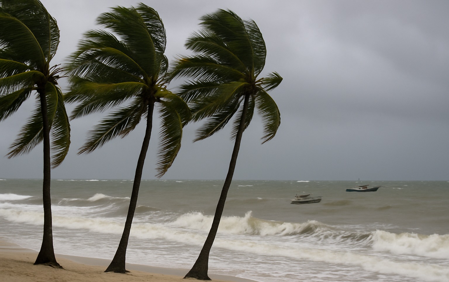 Met: Expect strong winds, large waves