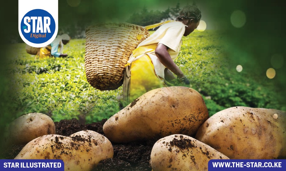 Factors affecting agricultural production in Kenya
