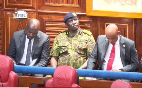 CS, Kanja placed under oath before Senate grilling