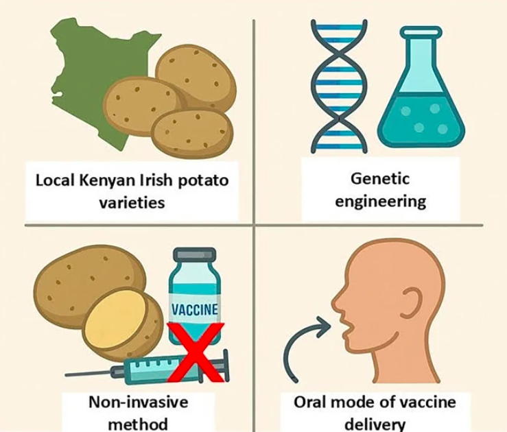 From lab to reality: What you should know about edible vaccines