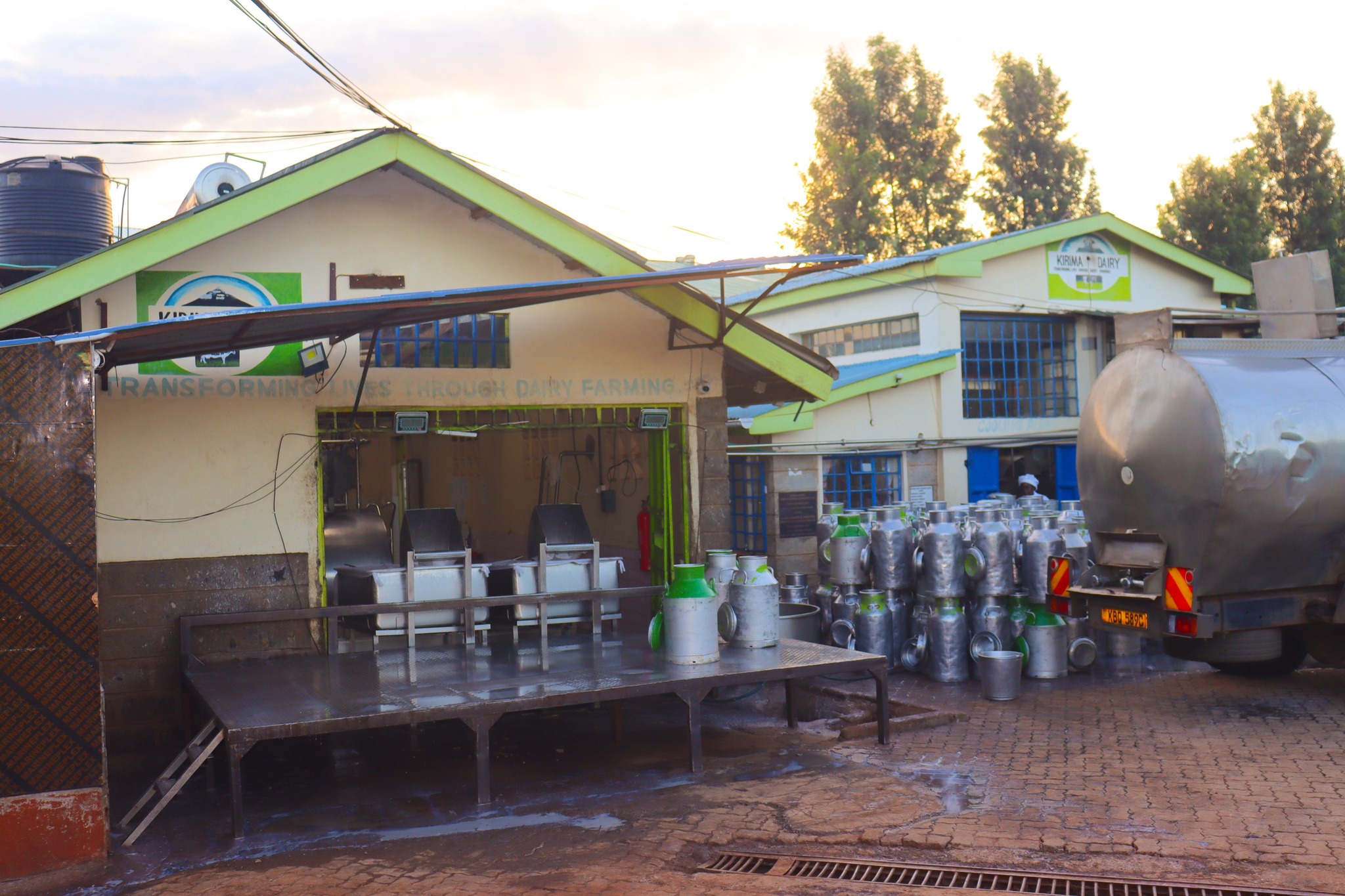 Reprieve for Kirinyaga farmers as New KCC pledges to buy 65,000 litres of milk daily