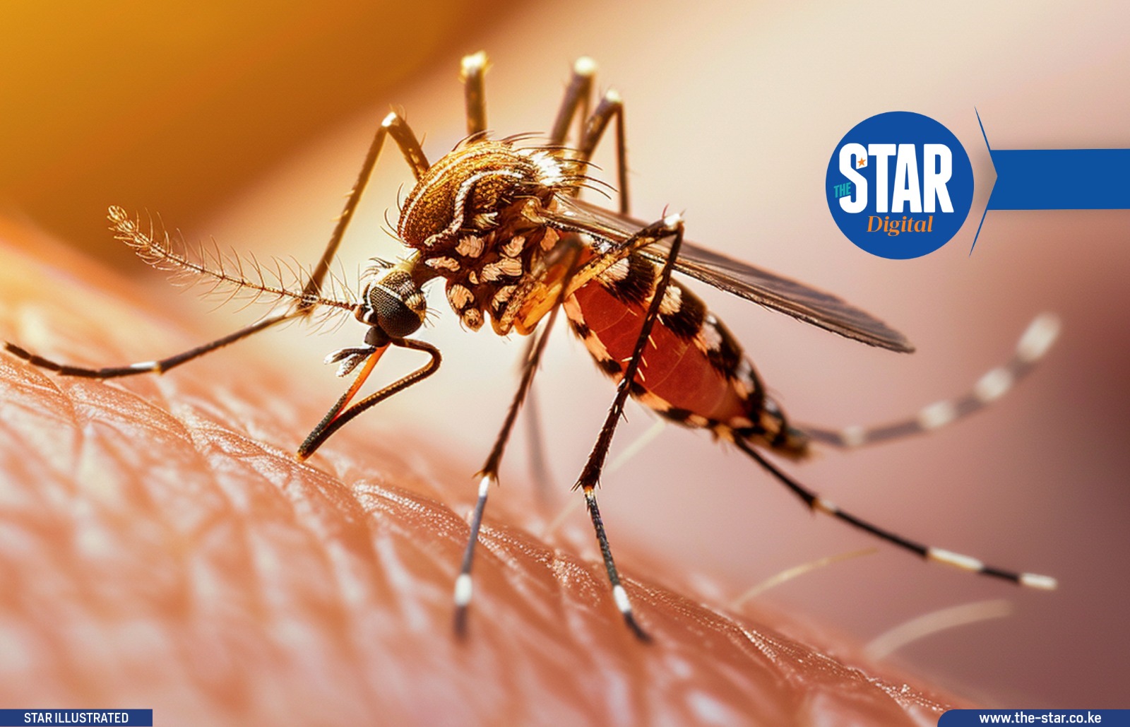 The Anopheles stephensi mosquito: What you need to know