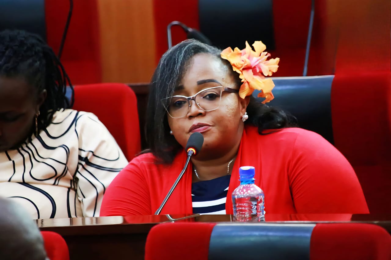 Meet the MCA Championing Mental Health and Women’s Rights in Kiambu