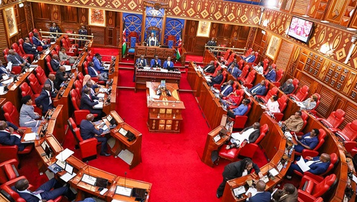 Parliament Review: Guyo survives ouster as MPs debate digital finance