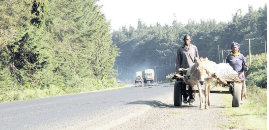 New fi rm bids for Rironi-Mau Summit road