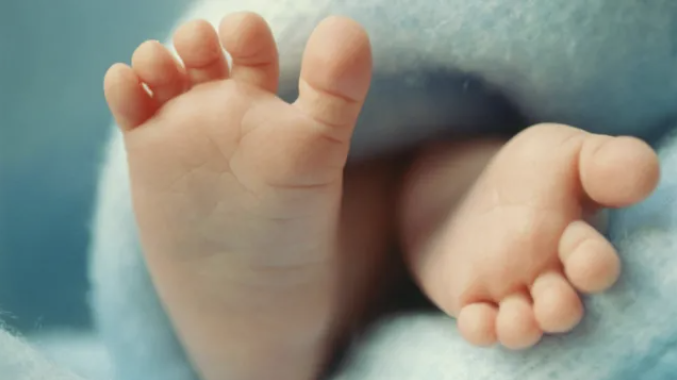 Babies made using three people's DNA are born free of hereditary disease