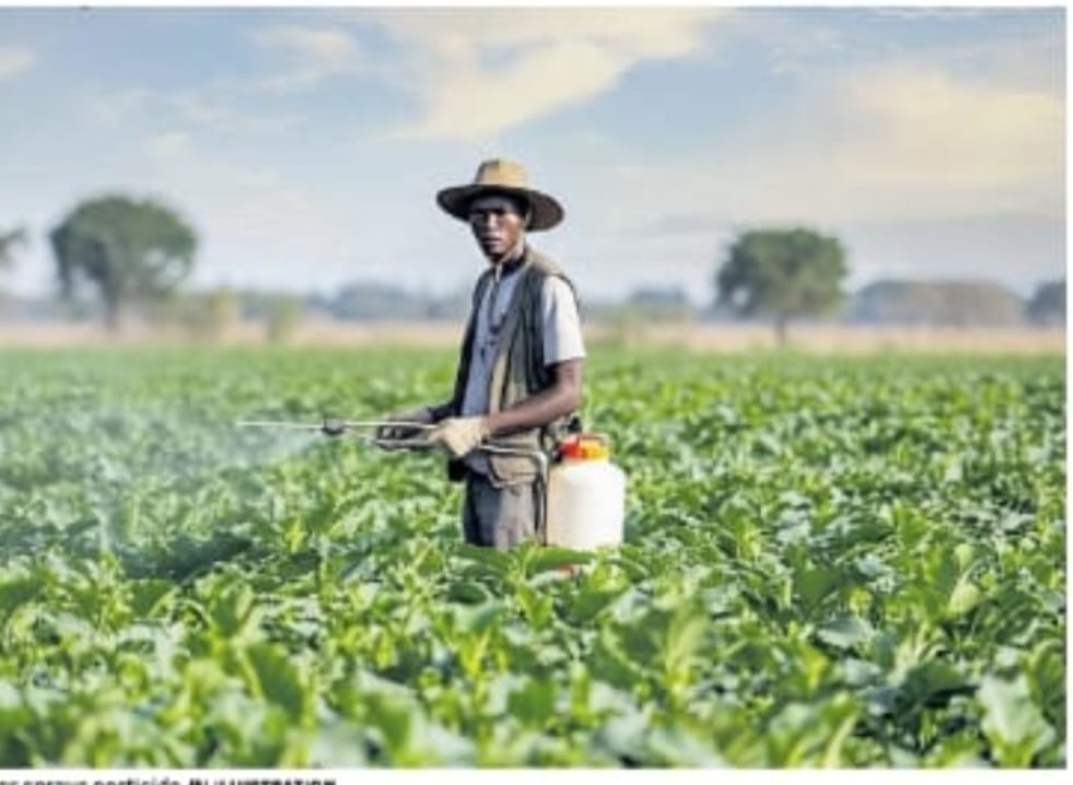 Ban on key pesticides to could cost Kenya Sh1 trillion