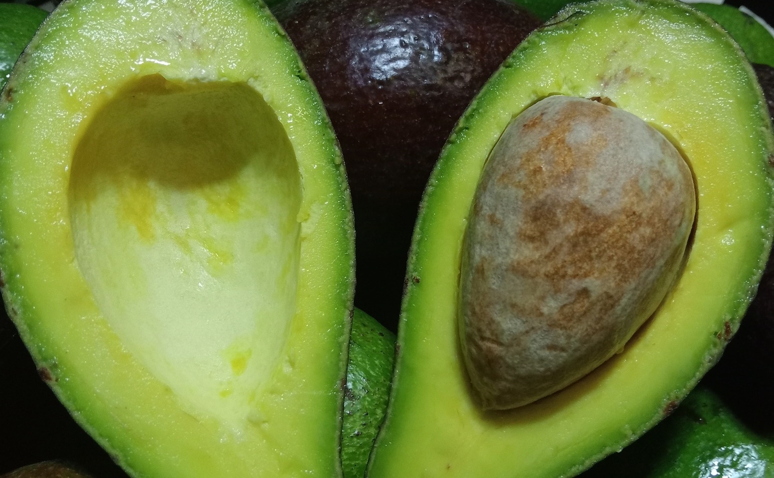 International Avocado Day: Kenyan Celebs Who Dislike It