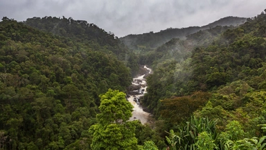 Kenya among nations seeking funds to tackle environmental crises