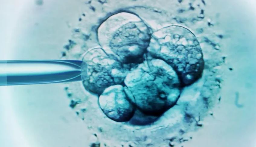 Historic! Baby born from 30-year-old frozen embryo