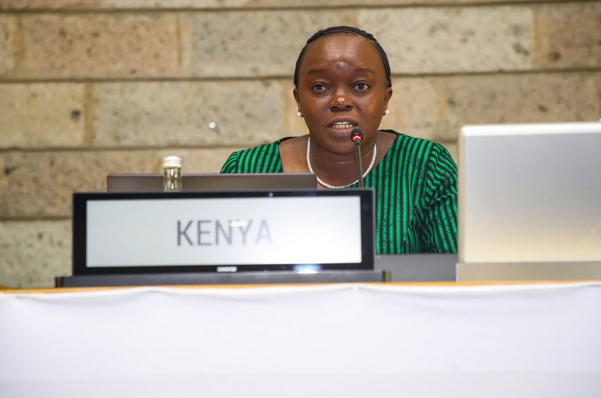 CS Barasa calls for responsible mining to protect ecosystems