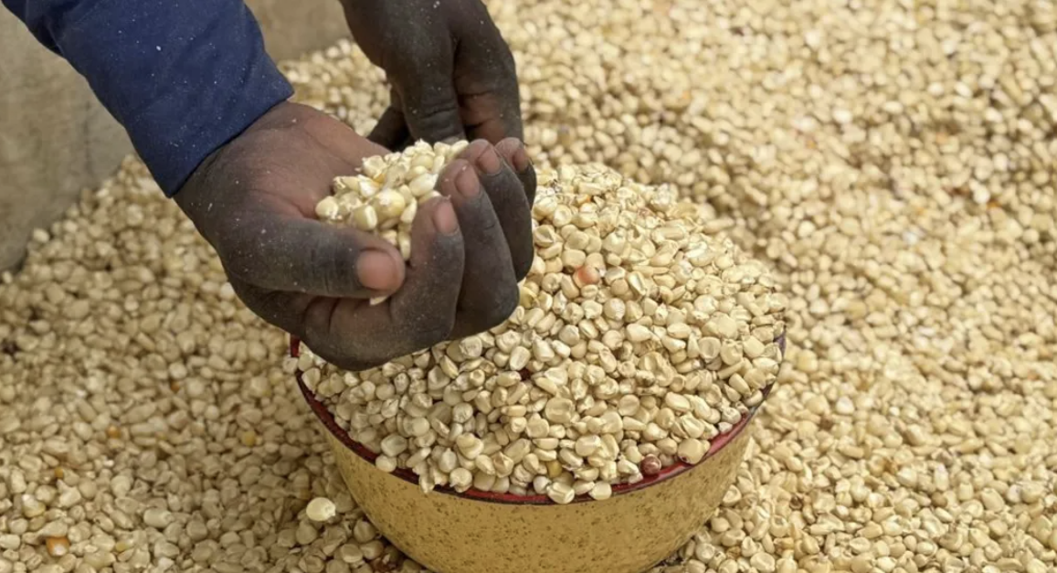 WFP: Aid cuts will push Nigerians into arms of Boko Haram