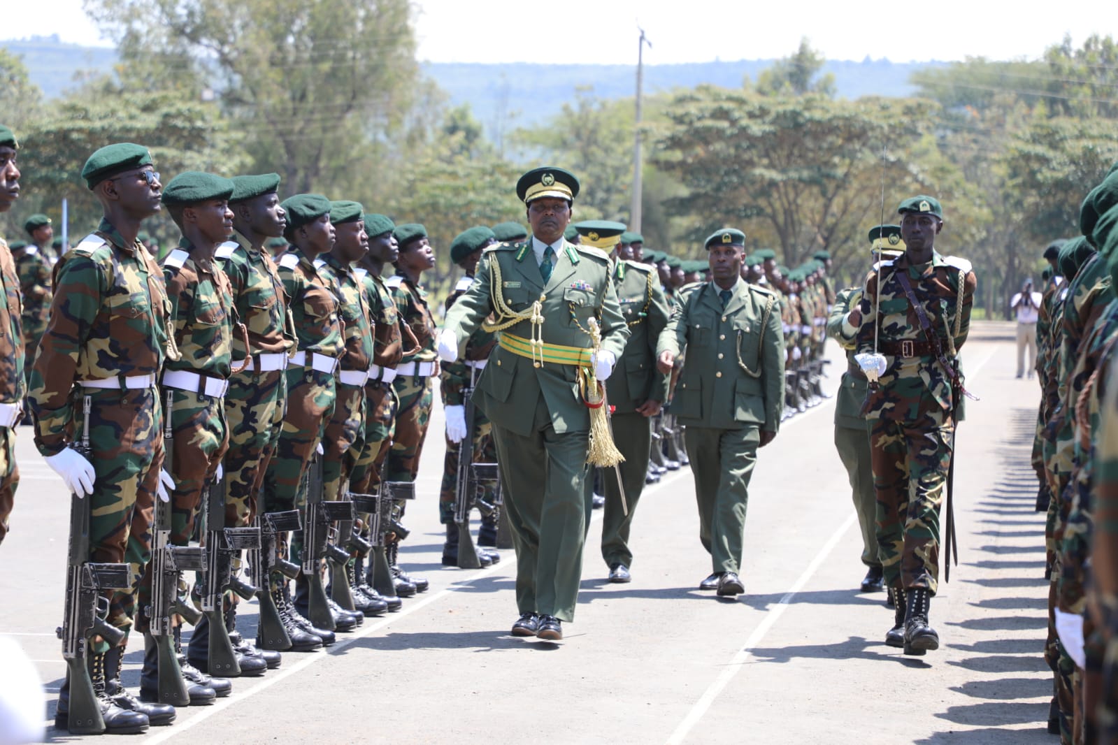 Rangers: Heroes who patrol forests and fight fires