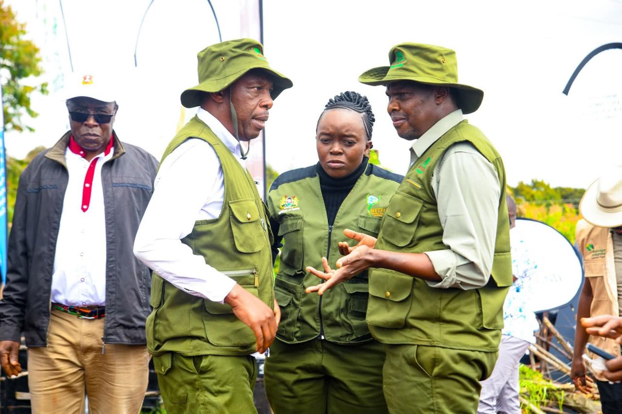 Ruto to preside over 9th edition of Kaptagat Forest conservation project