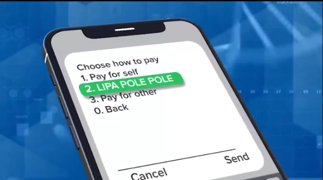 SHA Lipa Pole Pole: Step-by-step guide to pay