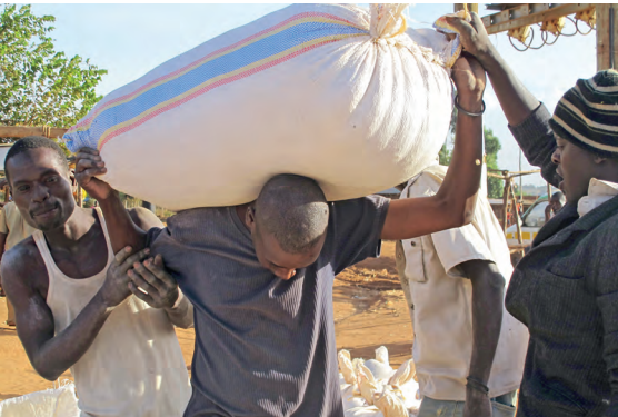Zambia denies signing maize export deal with DRC