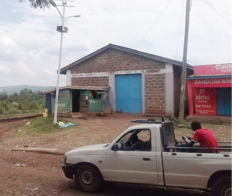 (Nyanza page story 2) Ndhiwa granny dies after bees attack in Ratanga market
