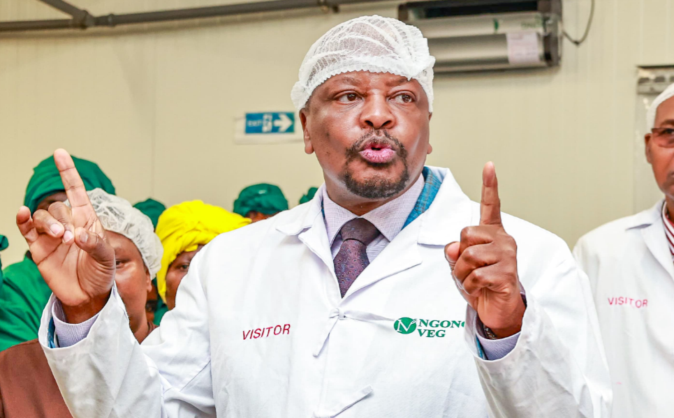 Keep protests peaceful to protect jobs and future - CS Kagwe urges youth