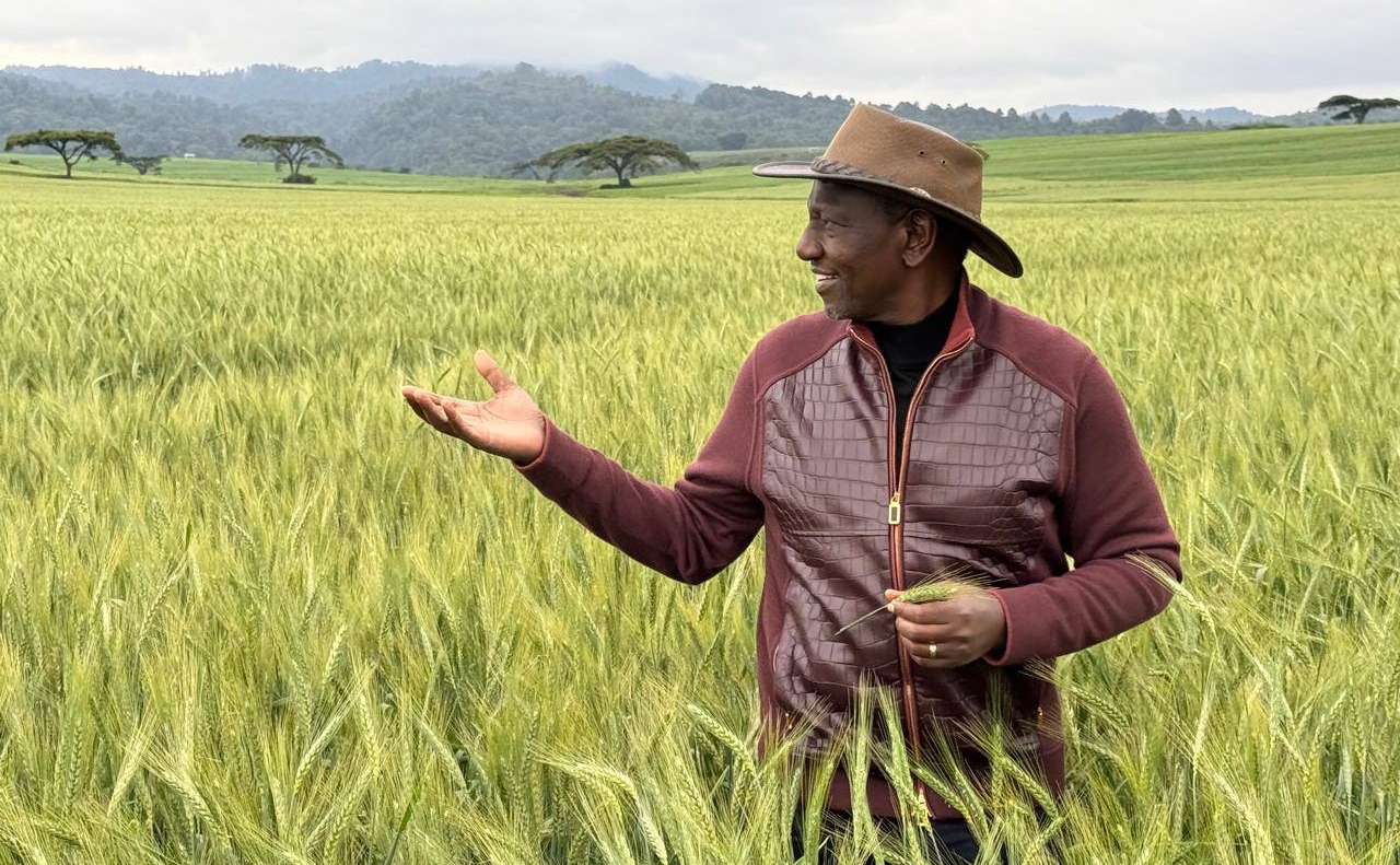 Ruto's Alleged KSh 6.2M Jacket Sparks Outcry