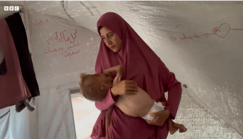 Almost a third of people in Gaza not eating for days, UN food programme warns