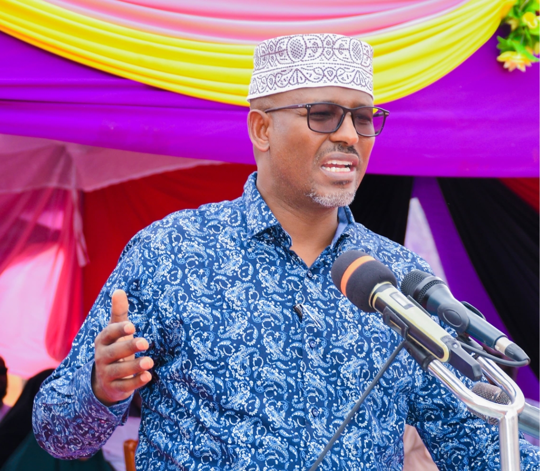 Wajir Governor warns of hidden political agenda behind Saba Saba protests