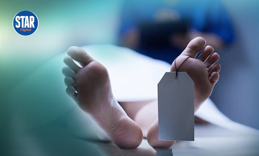 HIV/AIDS deaths by age group in Kenya in 2024