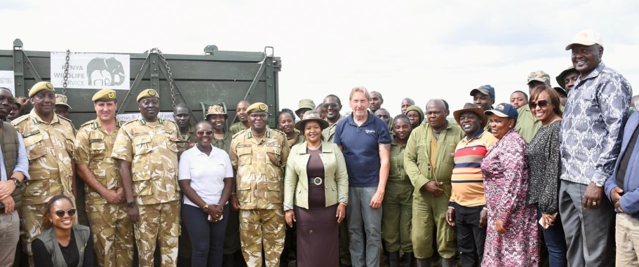 KWS mulls relocation as rhino numbers overrun Nairobi park