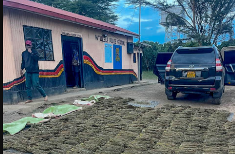 Suspects escape after police seize bhang in Narok