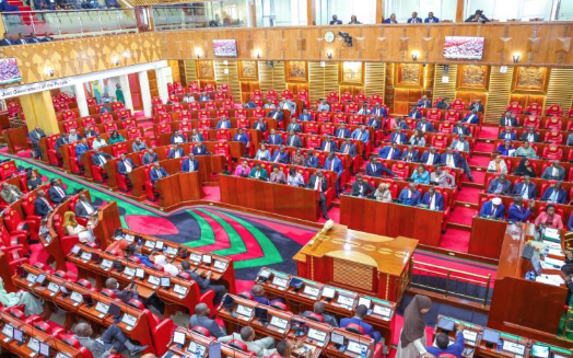 Parliament Review: MPs back public health use, push for infrastructure completion