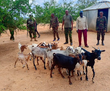 Police recover stolen livestock in Turkana