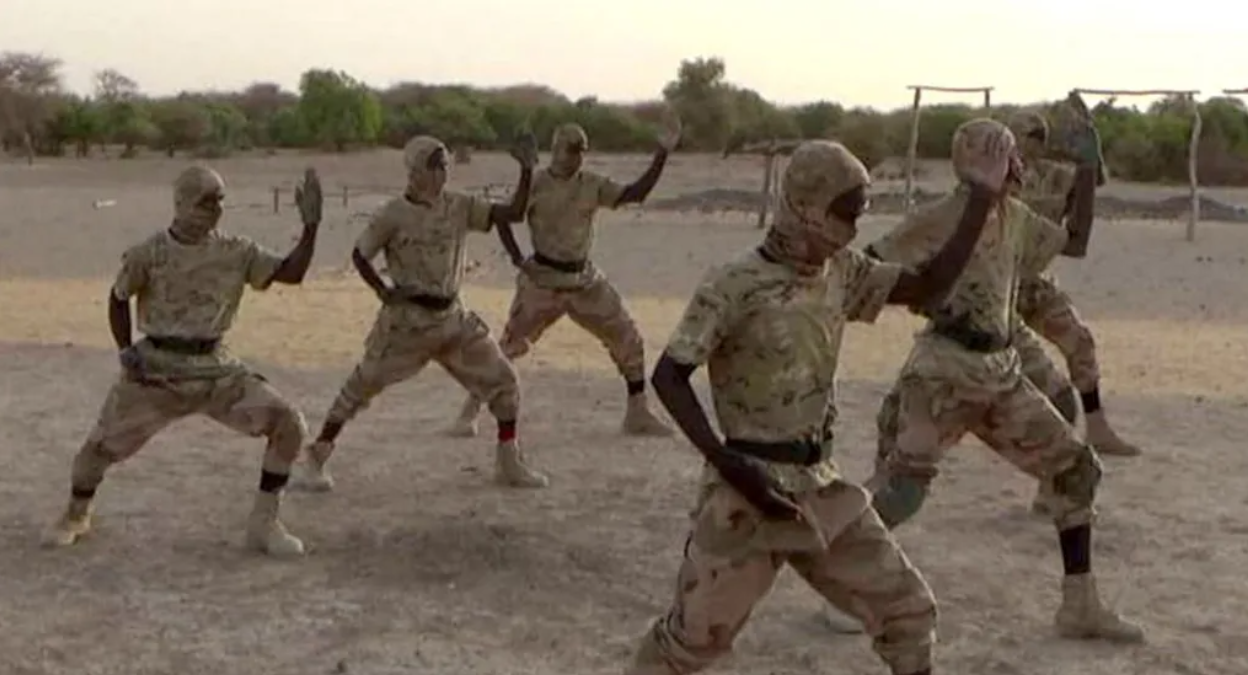 How an al-Qaeda offshoot became one of Africa's deadliest militant groups