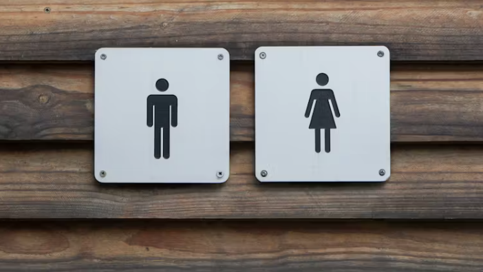 Do women have to pee more often? The answer is surprisingly complex