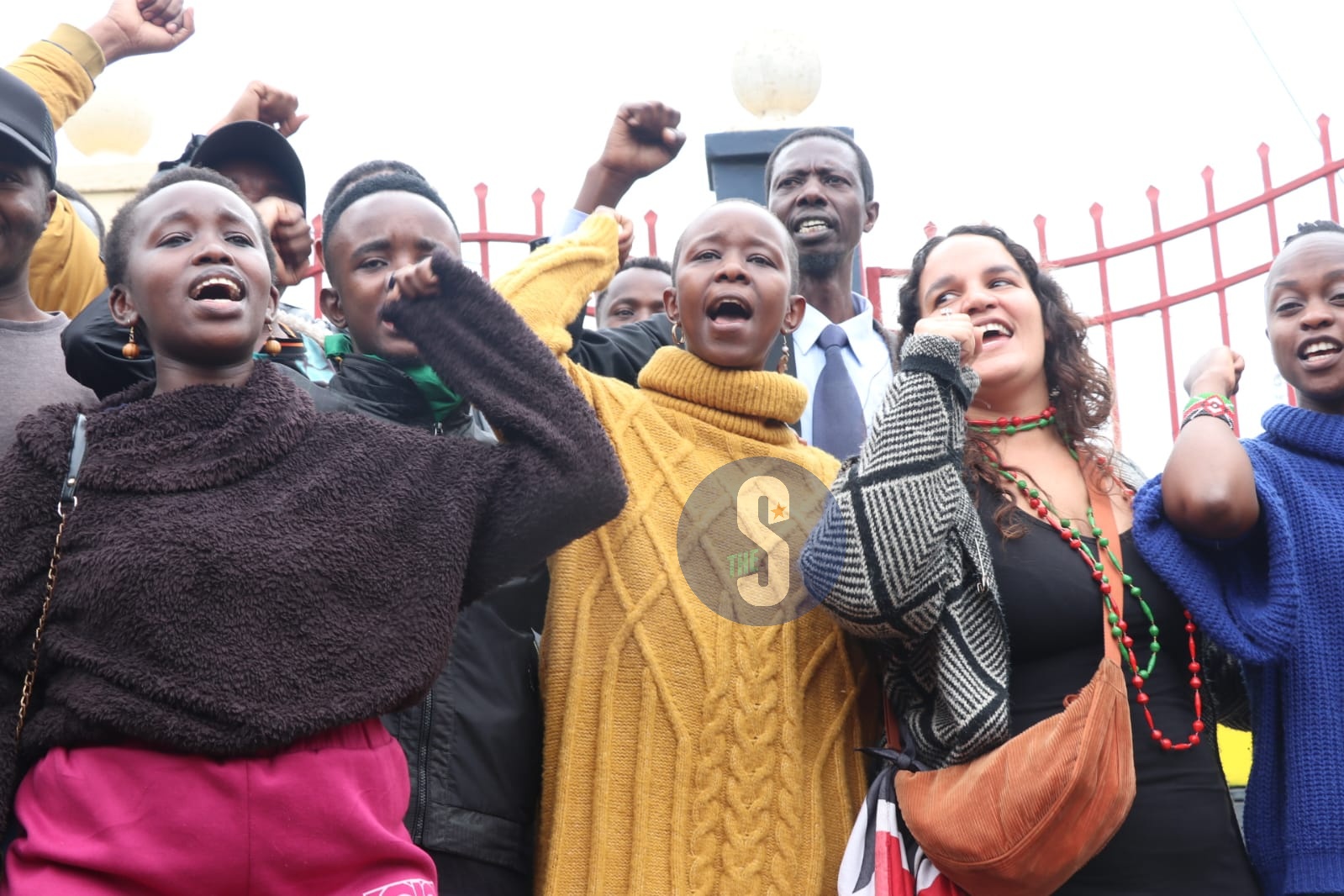 End criminalisation of activists, says continental lobby