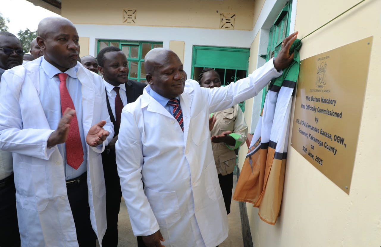 (Nyanza page story 2)Governors want IFMIS closure extended by two weeks