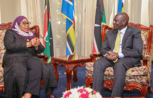 EXPLAINER: What TZ’s foreign businesses ban means for Kenya