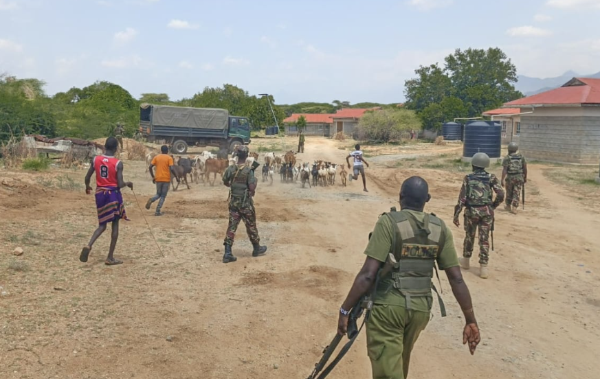 Police recover stolen livestock in Turkana