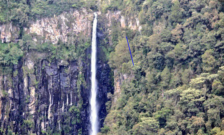 EXPLAINER:  Aberdare National Park: Kenya's hidden highland gem