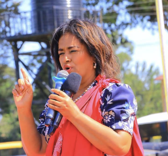 Passaris: I stand firmly with Ruto, leadership is about progress