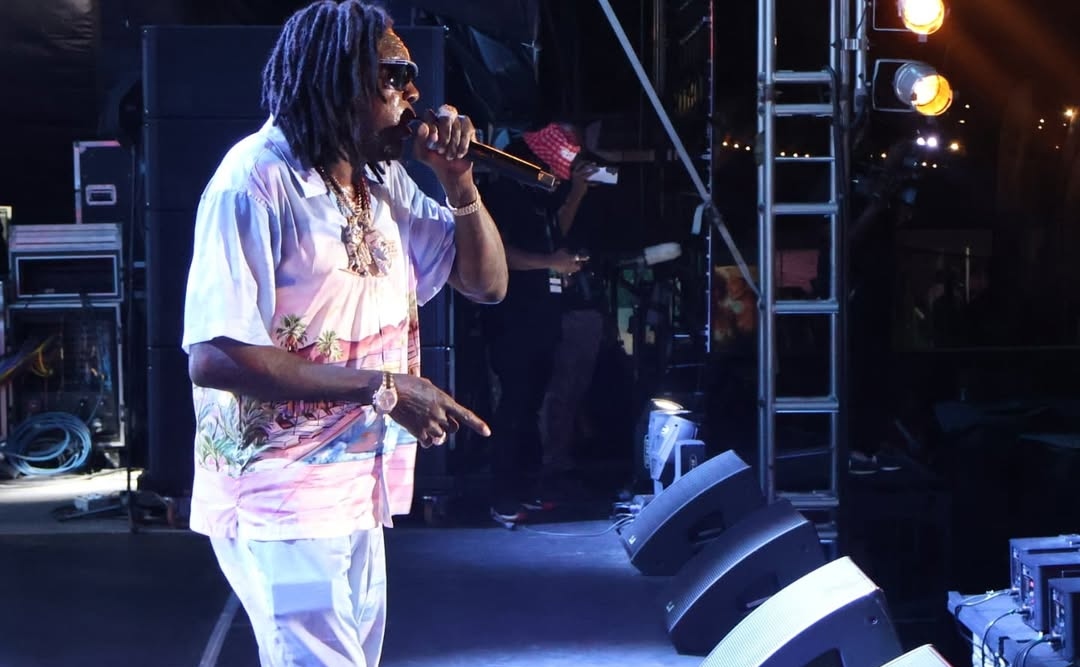 Kenyan Flags Dominate Vybz Kartel's Germany Show