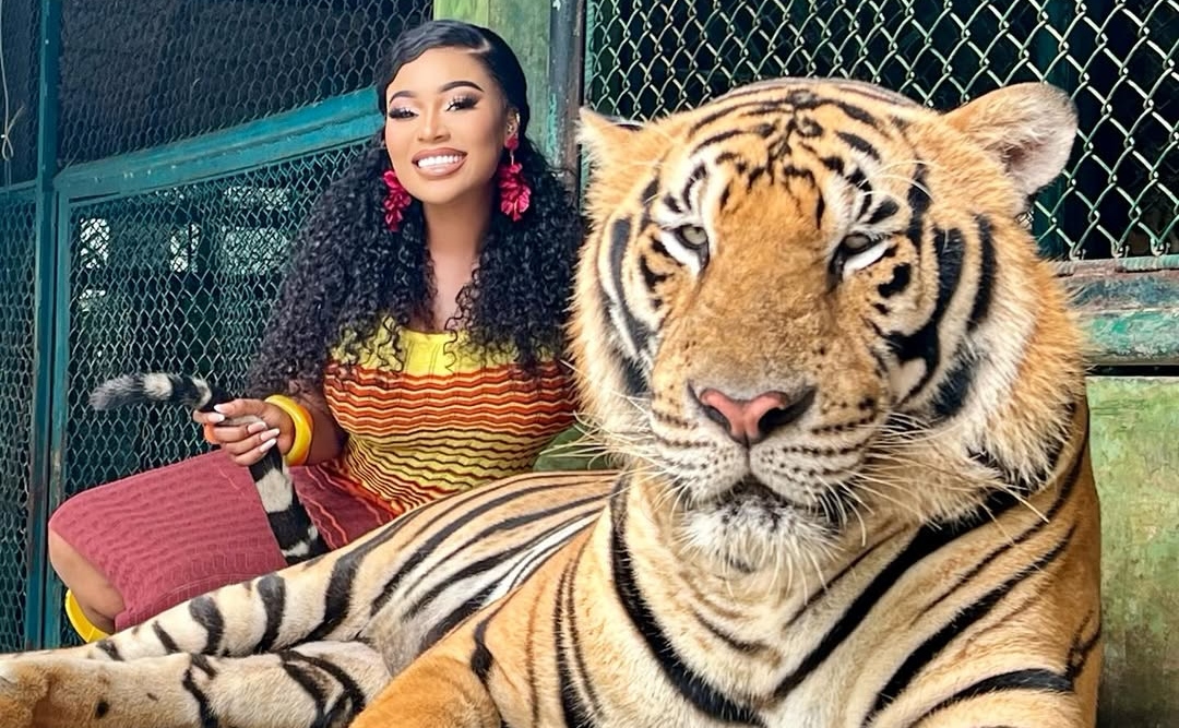 Vera’s Tiger Photo Gets 2 Wildly Different Reactions from Parents