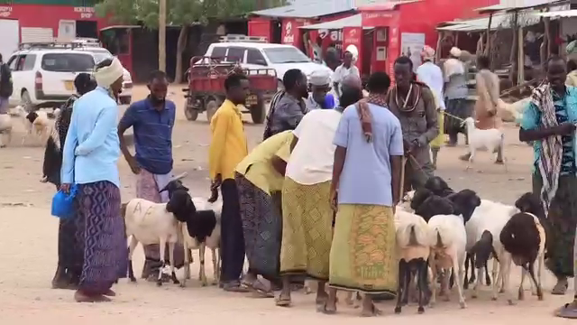 Wajir elders slash wedding costs to ease burden on young couples