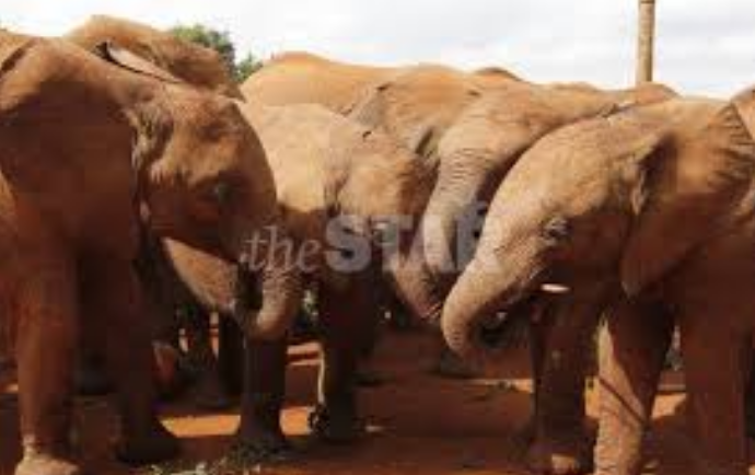 West Pokot tipped to become eco-tourism hub