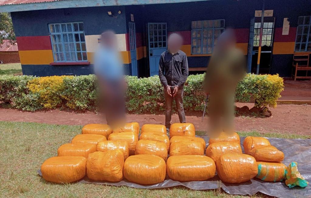 Over 500kg of bhang seized in crackdown